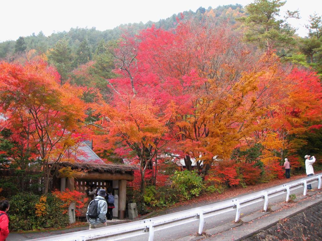 Zero-Project Japan Guesthouse Яманакако Экстерьер фото